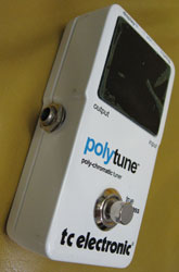 polytunes1